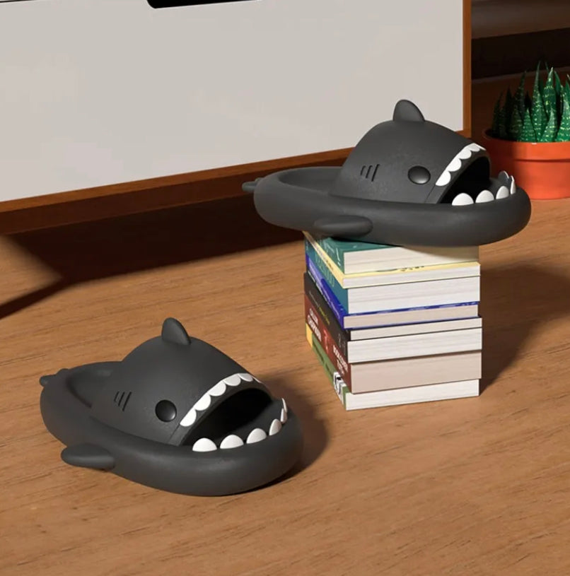 Shark Slides