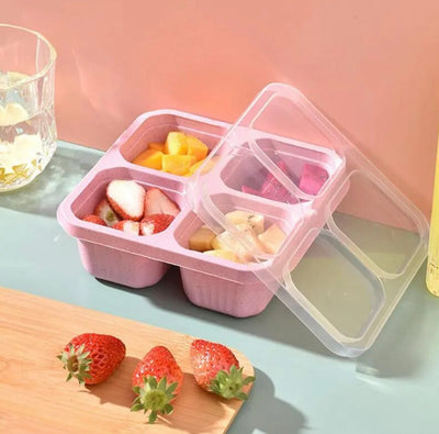 Bento Lunch box- 4 sections