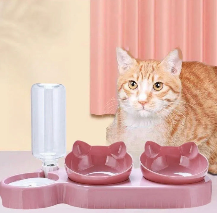 Automatic Pet Feeder