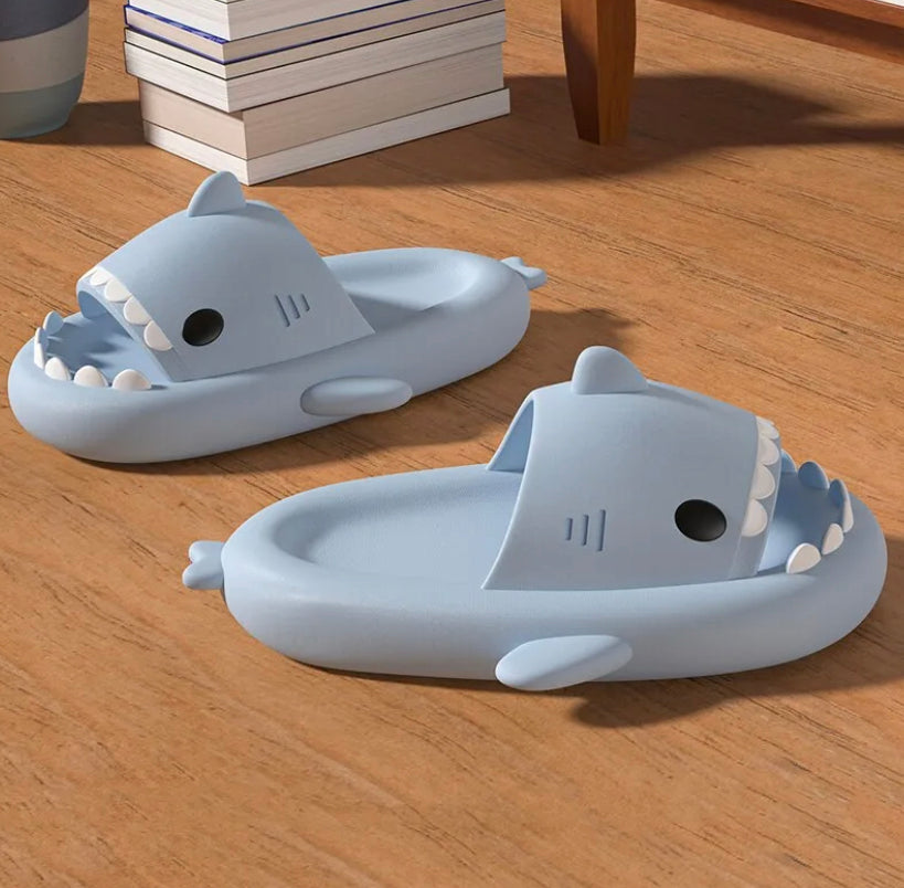 Shark Slides