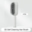 Self Cleaning Hair Brush